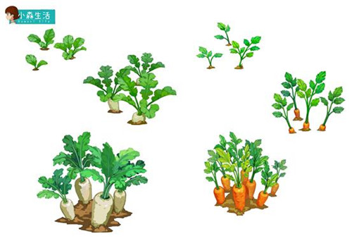 在地里你能分辨出哪个是胡萝卜吗？