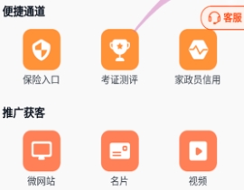 桃子系统app
