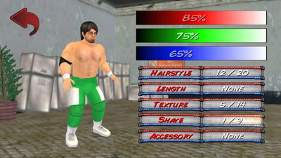 摔角革命3d完整版图片