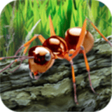 白蚁生存模拟器