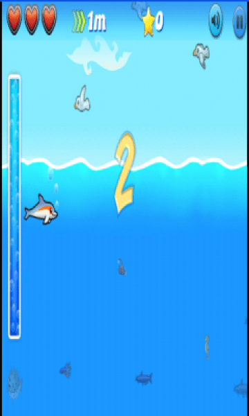 跳跃海豚大冒险官方版下载
