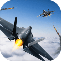 战机模拟airfighters汉化版
