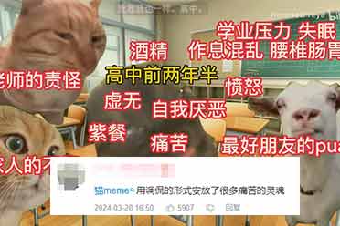 鼠鼠文学之后，这届年轻人用猫meme抱团取暖