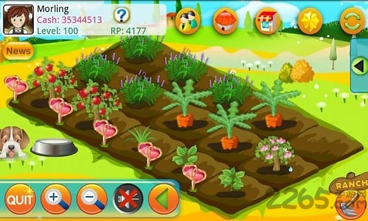 木瓜农场app