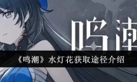 《鸣潮》水灯花获取途径介绍