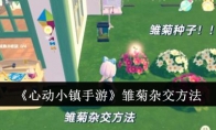 《心动小镇手游》雏菊杂交方法
