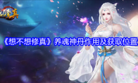 《想不想修真》养魂神丹作用及获取位置