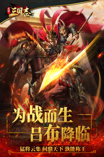 武神三国志破解版