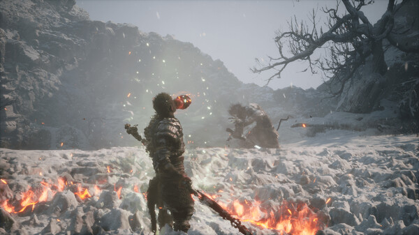 AMD发布新版本驱动 优化《黑神话：悟空》等诸多游戏