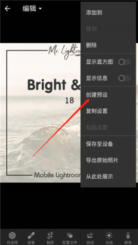 lightroom2022手机版图片10