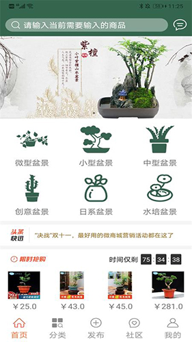 中国小微盆景app1