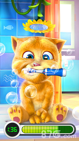 我的金杰猫牙膏