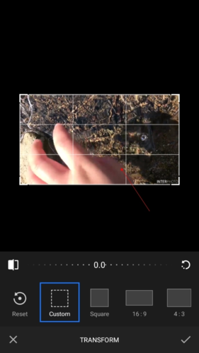Videoleap如何裁剪视频尺寸2