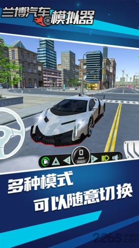 兰博汽车模拟器中文版图片2