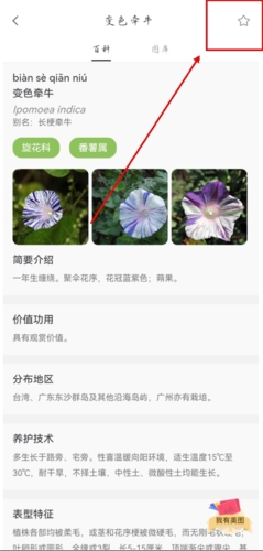 花伴侣app怎么才可以把识别过的花保存图片2