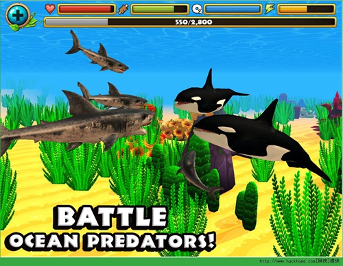 鲨鱼模拟器破解版