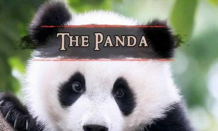 熊猫的故事游戏下载