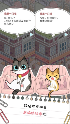 猫友圈游戏宣传图