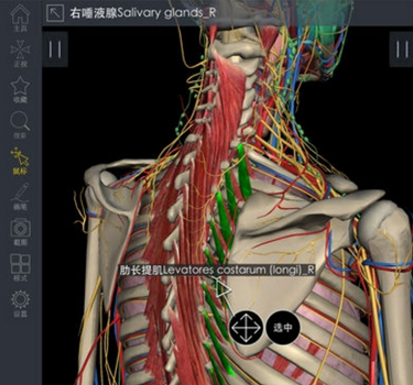 3Dbody解剖软件破解版软件特色
