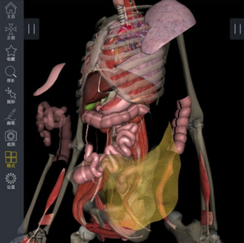 3Dbody解剖软件破解版功能介绍