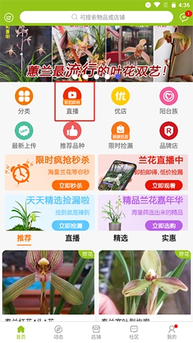 兰花交易网怎么开直播9