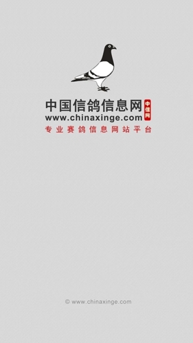 中国信鸽信息网app2