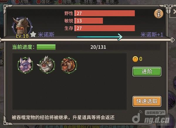 迷城物语宠物提升与搭配 ——新人必备