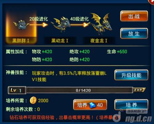 《剑魂之刃》宠物是紫龙好还是黑龙好？