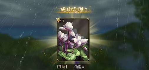 大航海之路仙客来在哪 大航海之路水仙在哪
