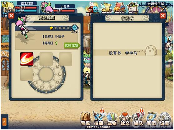 《空之幻想》新手攻略之宠物篇